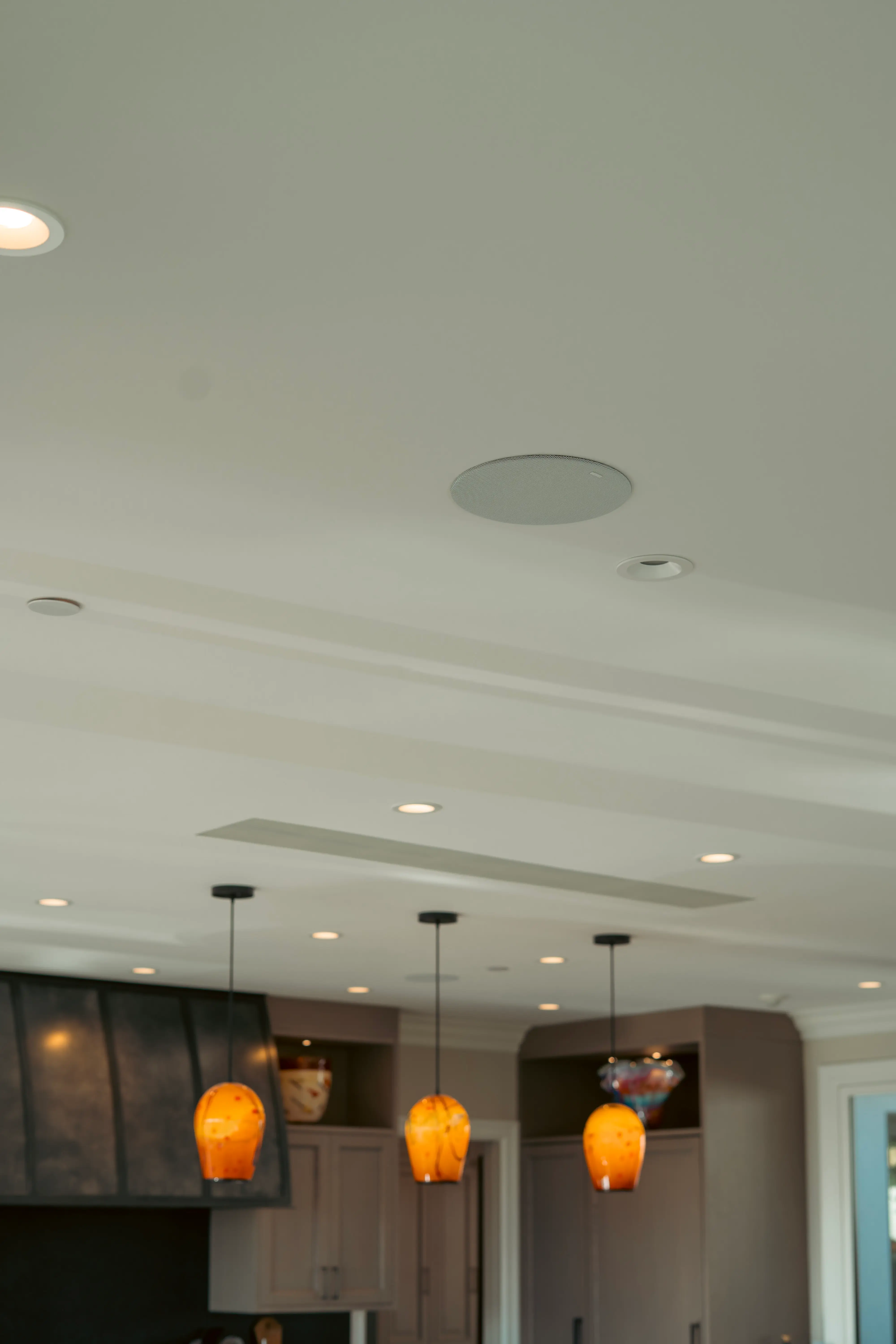 Tiburon Project - Proava Tech Tiburon whole-home automation project by Proava Tech - photo 3